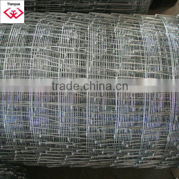 Galvanized Grassland Fence/Anping Manufacturer