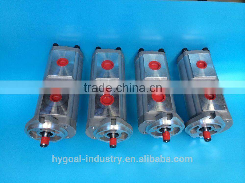Double hydraulic pump/hydraulic gear pump,pump china factory