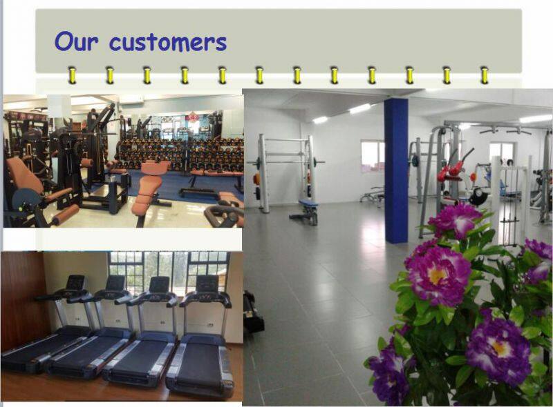 Luxurious Commercial Fitness Equipment Adjustable Ab Benches For Sale