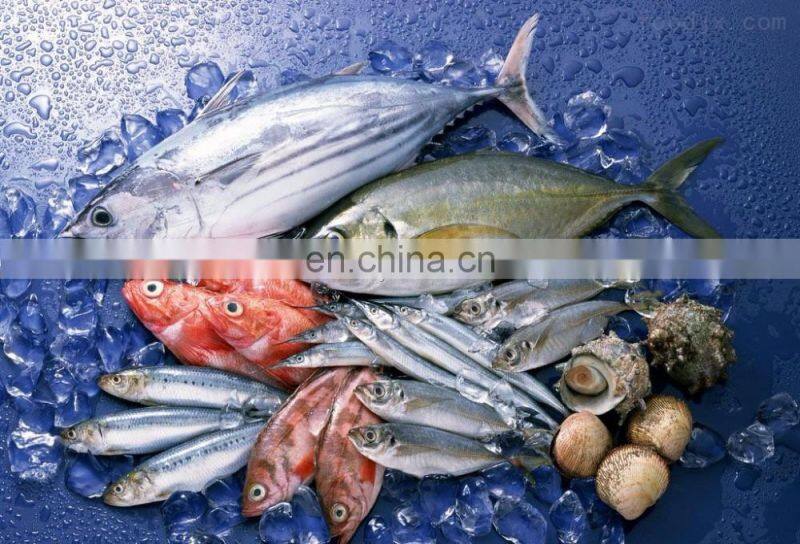 Industrial Automatic High Efficient Iqf Tunnel Quick Freezer Food Grade Stainless Steel 304 Food & Beverage Factory 21.5*3*2.5m