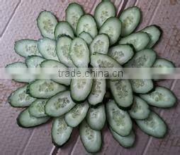 Potato chips and french fries cutting machine