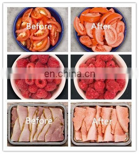 Food freeze dryers sale mini freeze drying machine