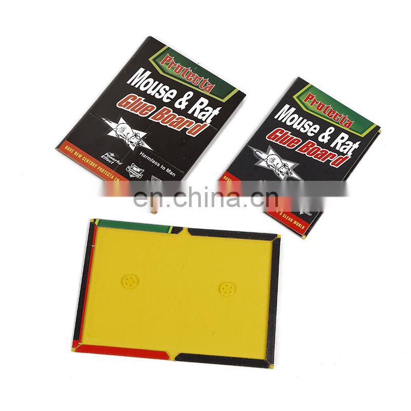 Most Popular Disposable Plate Home Pest Control Trappers Sticky Mouse Board