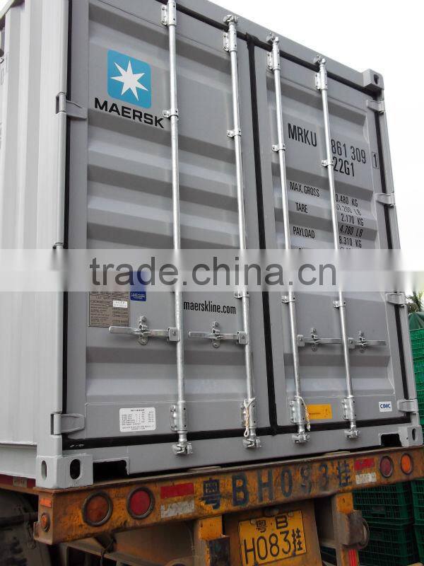 PE Artifical Christmas Pine Branch with white tips