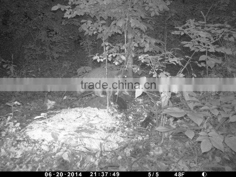 Wholesale gprs hunting camera 3g hunting camera