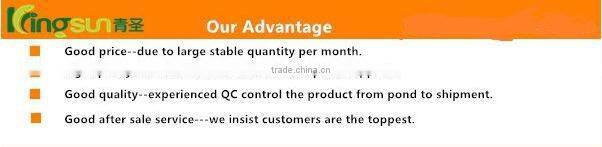 Hot Sale Frozen Crawfish Meat