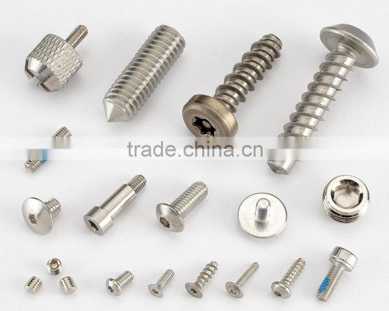 Taiwan Supplier Stainless Steel Phillips Slot Electronic Screw