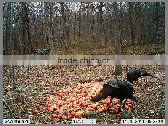 12MP Best Selling night vision 940nm hunting camera mms