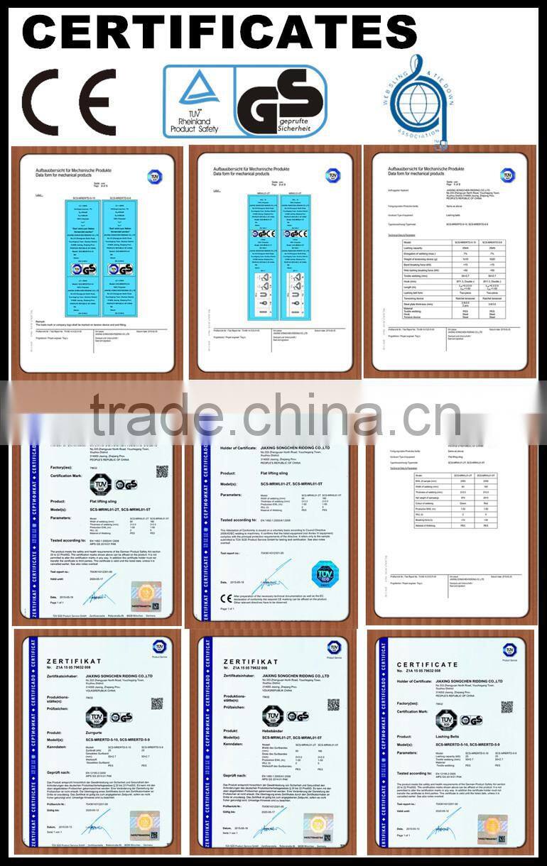 Polyester Ratchet Tie Down Strap With S hook