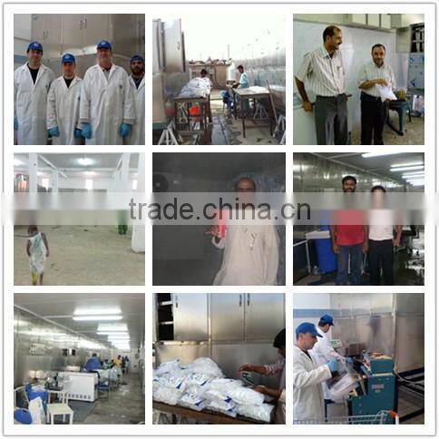Best Selling Cheap Commercial Ice Making Machine In Africa