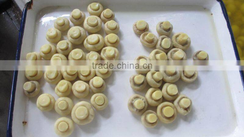 Canned Mushrooms in Glass Jar Branded Canned Food Products