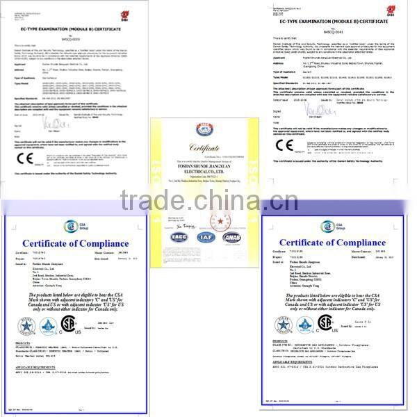 Hot selling stainless steel 2 burner outdoor gas barbecue grill