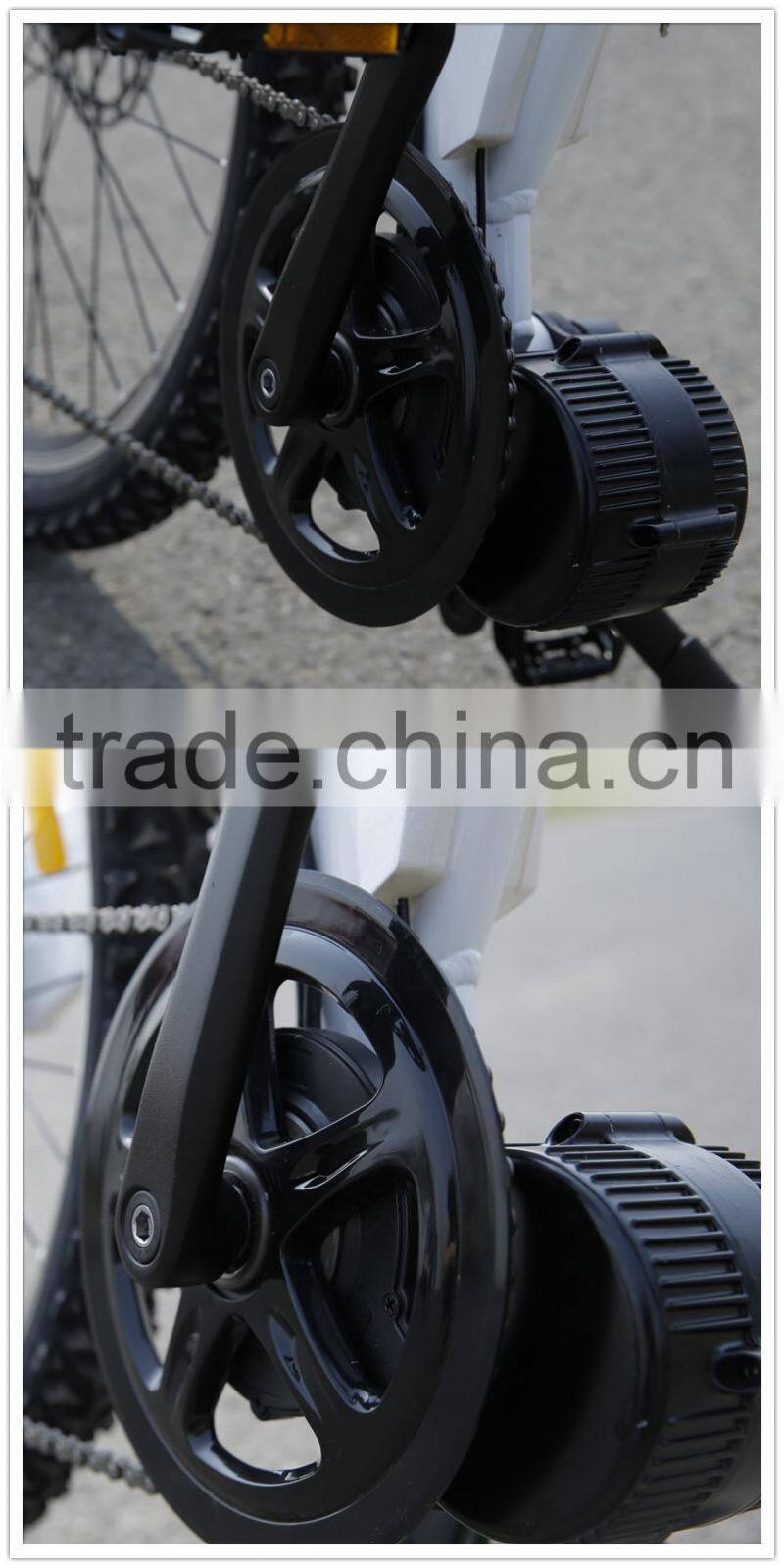 Haoling Seagull - electric bike motor mid drive, electric motor bike