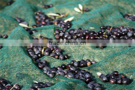 PE olive net