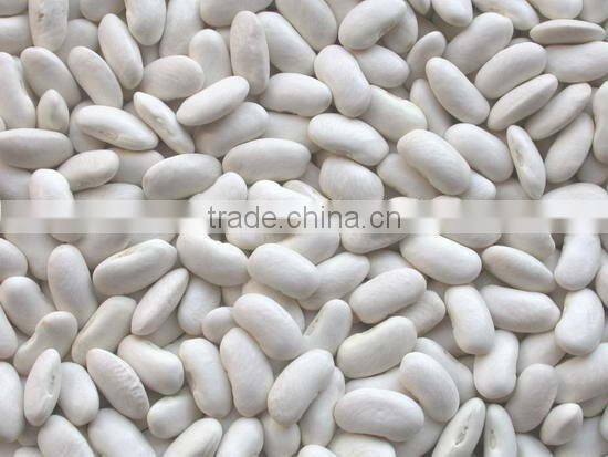 Light Red Speckled Kidney Beans