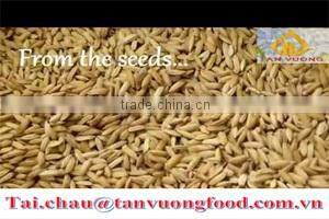HACCP rice-Best price 504 Long Grain White Rice 15% Broken