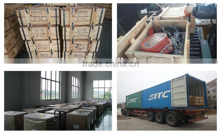 electric chain hoist single phase