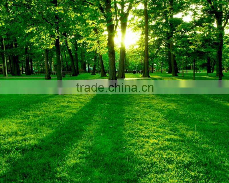 white primer hdf door skin 2 panels