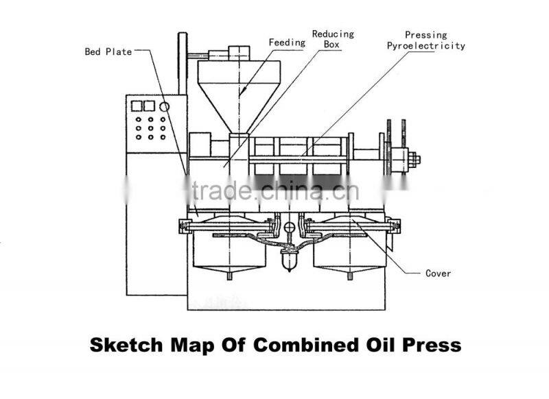 combine electric oil press with best price
