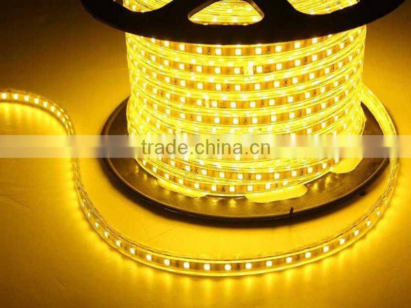 50m Per Roll Tube Around Waterproof High Voltage Multicolor Led Light Strip