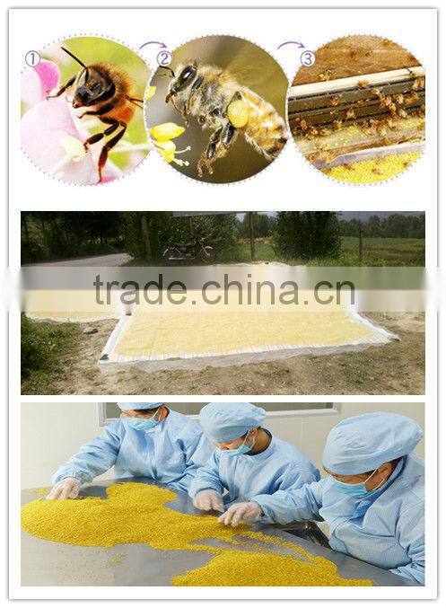 2013 Hot Sale Natural Bee Pollen from Rape Flower Korea