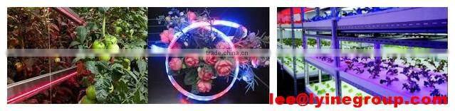 AC/DC 12 led neon flexible bendable led strip 5050