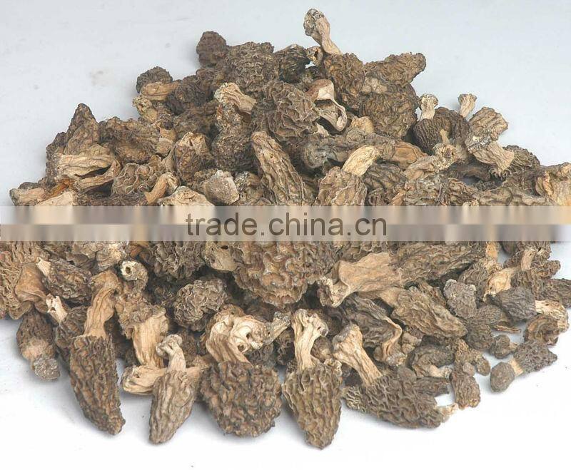 black morel mushroom market price dried morel mushroom magic mushrooms dried