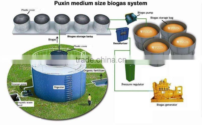 High quality medium size biogas power plant,fermenter bioreactor,anearobic reactor