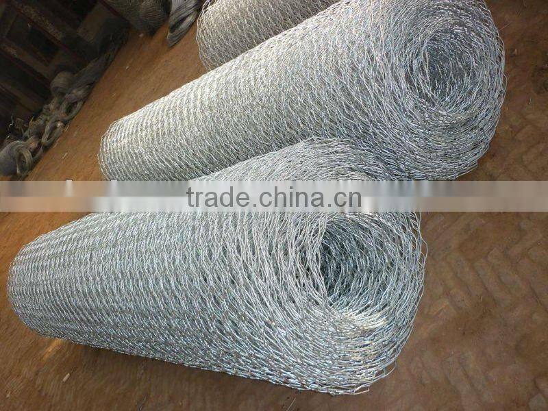 Hexagonal Gabion Netting