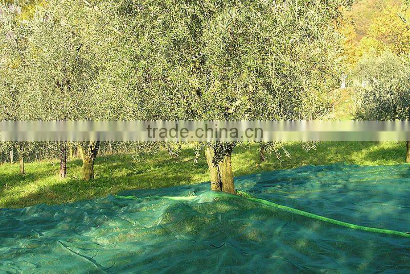 Easy Handling Olive Harvest Nets