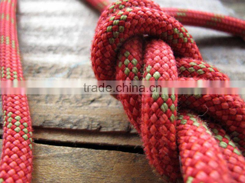 Recycled Climbing Rope & Carabiner Dog Leash - Red