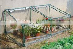 Transparent walk in garden used greenhouses for vegetables