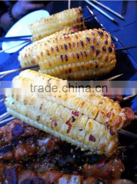 Rotary Sweet Corn broiler/roaster EB-18-2 0086-13632272289