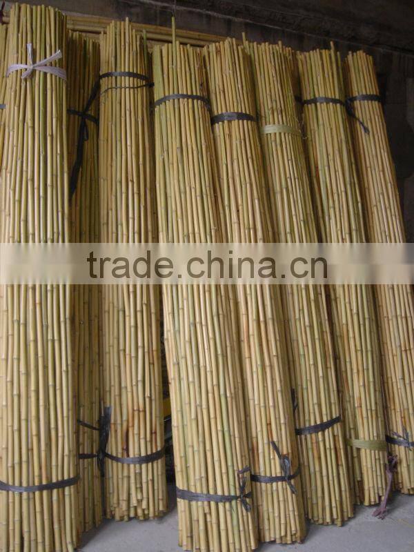 Raw Bamboo Cane Export