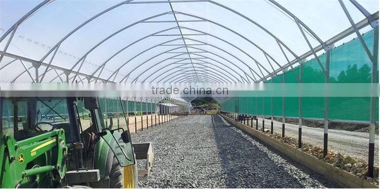 Factory Price Galvanized steel frame agricultural plastic green house