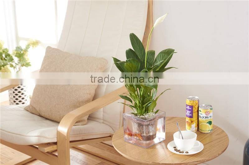 Round Clear Plastic Orchid Pot