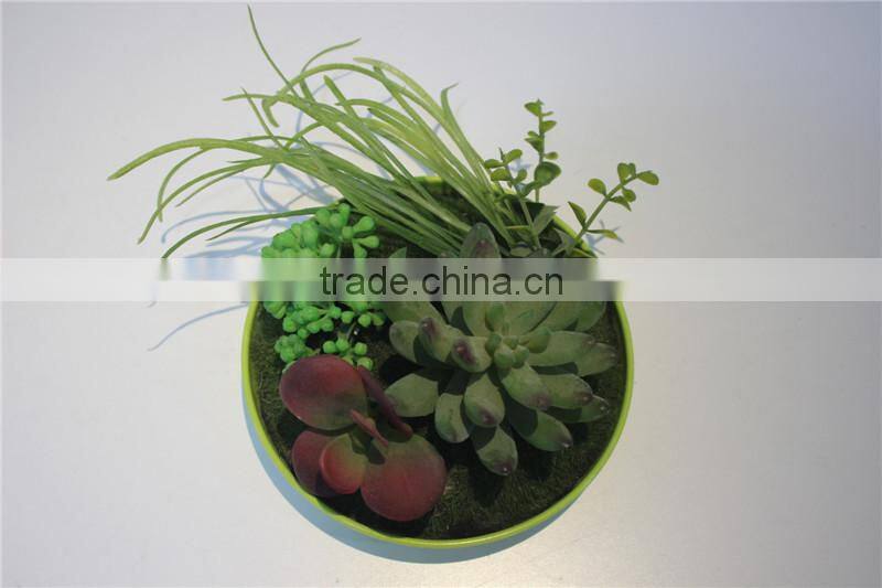 brand name plastic small multicapacity process artificial round plate bonsai decor