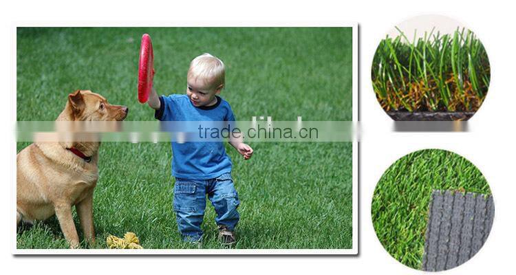 softest and durable 25mm Artificial Turf for dogs