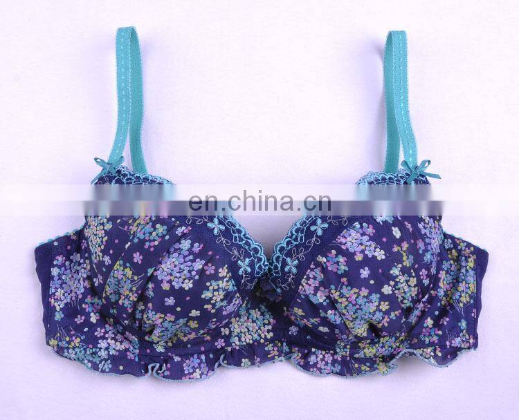 Beautiful Bra Sexy Bra Design/Women Hot Images Sexy Bra