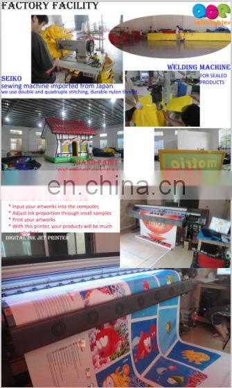 Hot Sales Slideway Frozen Theme commercial jumping castle