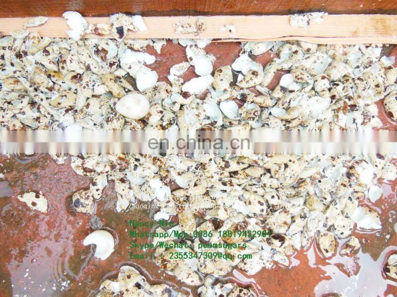 FT-206 Industrial quail egg peeling machine,quail egg shelling machine