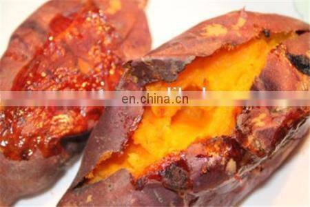 Stainless Steel Sweet Potato Roasting Machine Commercial Corn Baking Oven
