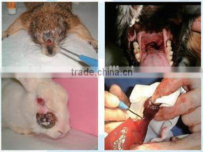 7W laser dental teeth whitening