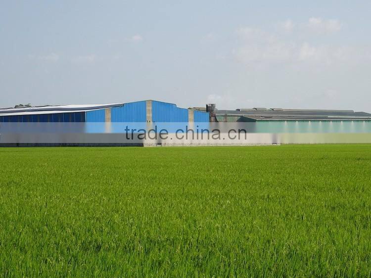 Vietnam ST20 Fragrant Rice