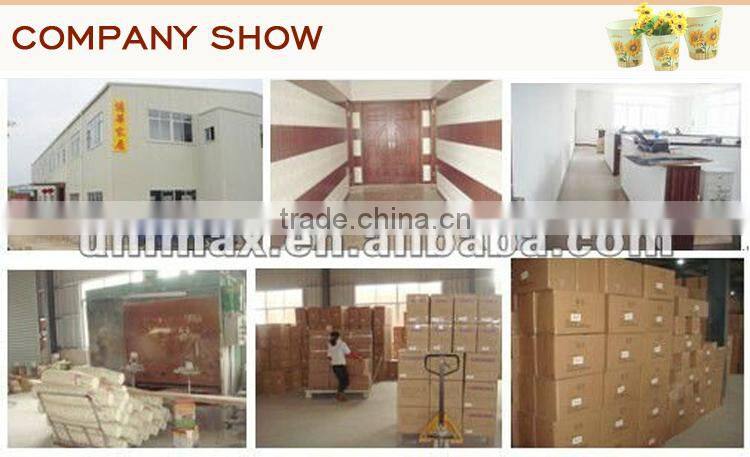 New arrival Jardin theme metal water bucket with hot selling