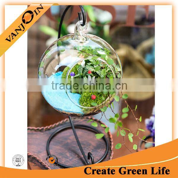 Wholesale Hanging Glass Semicircular Ball Flower Hydroponic Glass Vase