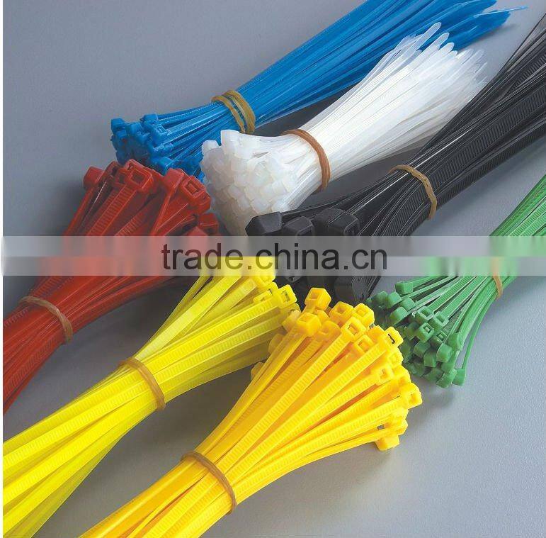 nylon frabic tie / screw mount nylon cable tie