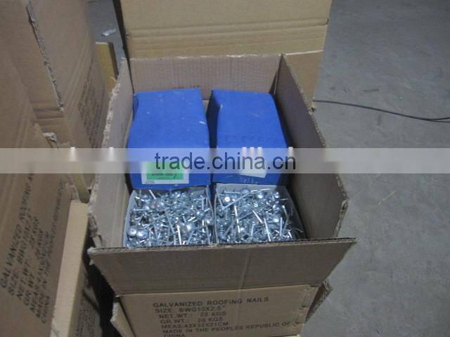 Competitive Zinc Roofing nail With Umbrella Head