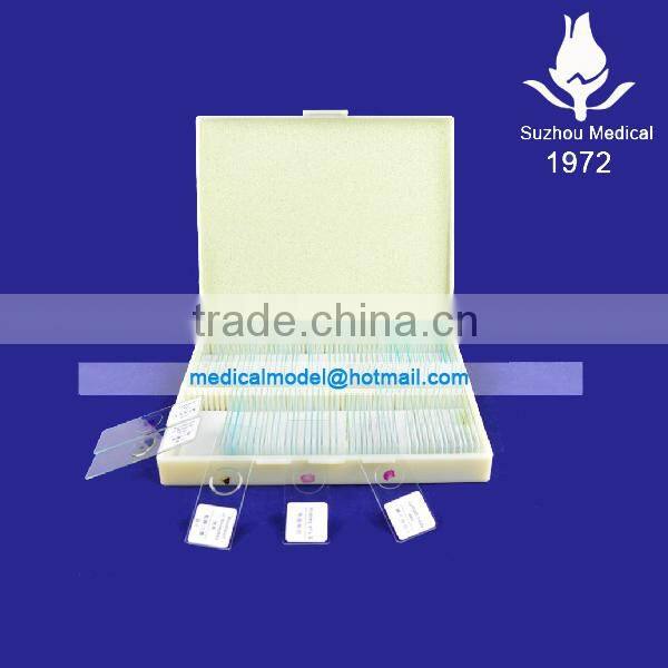 Medical microbiology slides