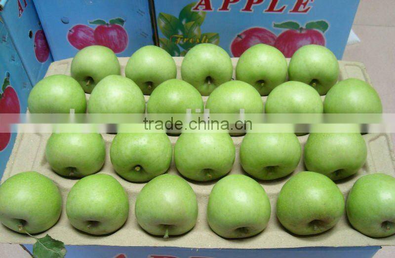 2015 China Green Apple Gala